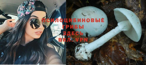 прущие крисы Абдулино
