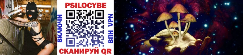 Галлюциногенные грибы Cubensis  мега вход  Хасавюрт 
