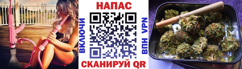 площадка как зайти  Хасавюрт  Бошки Шишки Ganja 